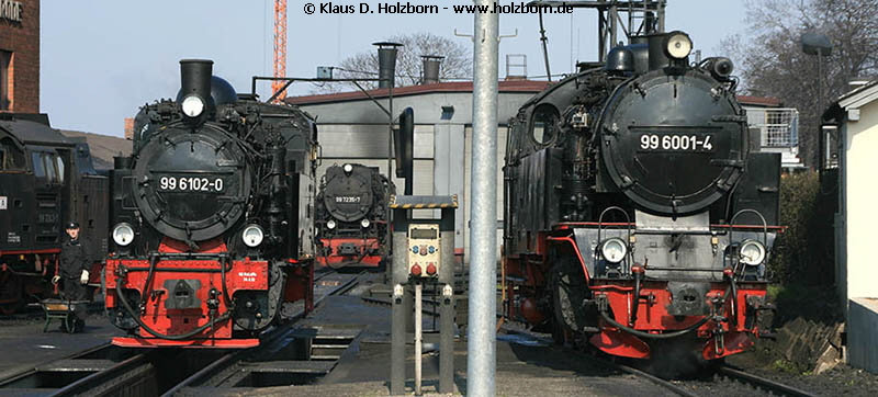 996102+6001-v-BwWernigerode-20070326-Holzborn