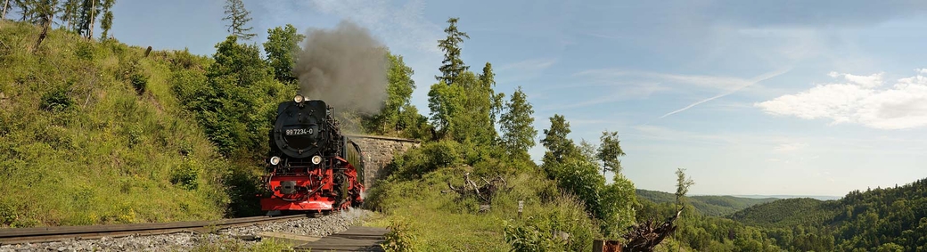 99 7234 mit P8931 beim Thumkuhlentunnel am 23.06.2012 - Fotograf: Klaus D. Holzborn